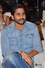 Sailaja Reddy Alludu Movie Pre Release Event Photos